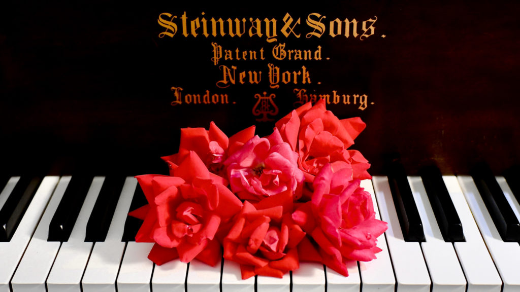 steinway and sons grand piano and six fresh red roses